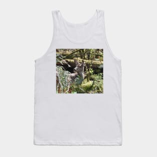 Deer, Wildlife, Black-tailed deer, Nature, Gifts Tank Top